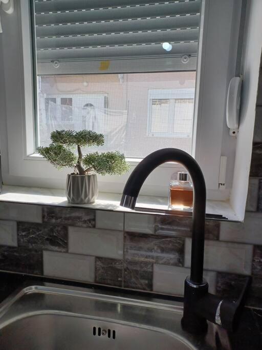 Petite Suite With Backyard. Mytilene Bagian luar foto